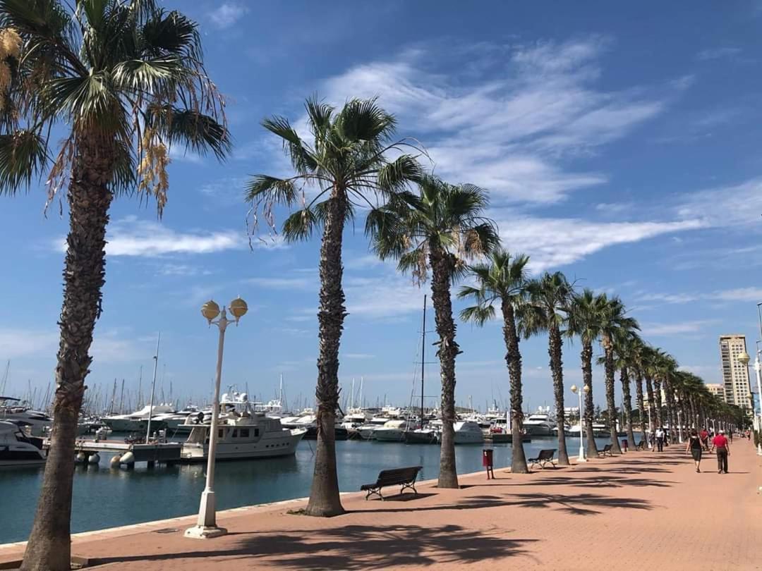 Estudio De Lujo Casaturis En El Corazon De Alicante A114 Esterno foto