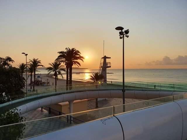 Estudio De Lujo Casaturis En El Corazon De Alicante A114 Esterno foto